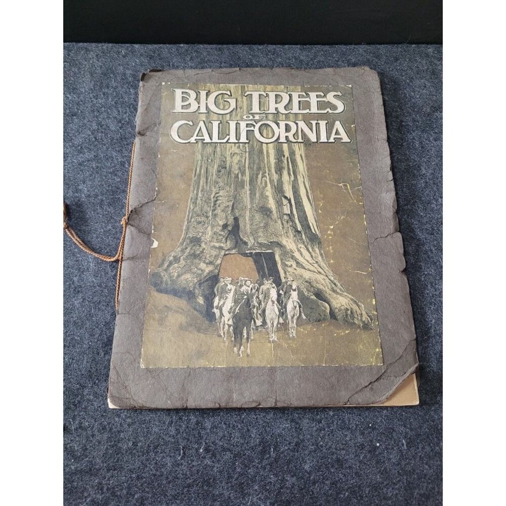 Antique Mariposa Grove of Big Trees California Book